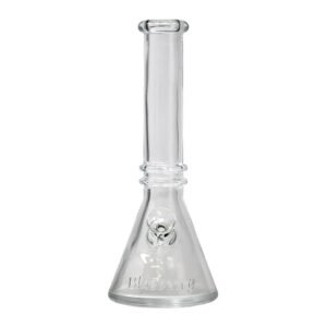 beaker bong 10 inch|