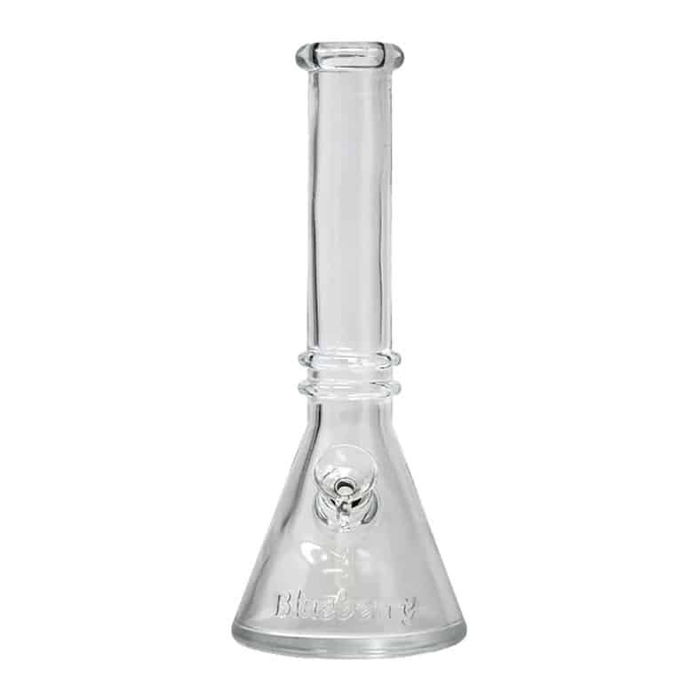 beaker bong 10 inch|